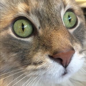 Meet your Posher, Kellie